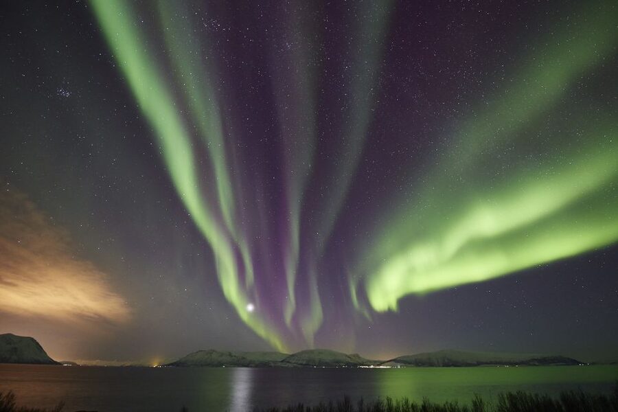 Tromsø: Private 6-Hour Aurora Chase by Minivan - Entering the Game at Radisson Blu, 19:00 Sharp