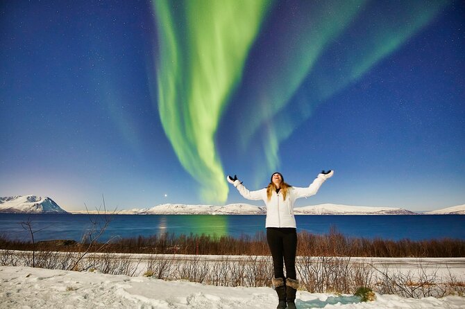 Tromso: Private Aurora Chase by Minivan - Key Things That Make This Tromso Aurora Chase Worth Your Time