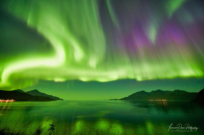 Tromso: Private Aurora Chase by Minivan - Tromso Fjords Stop: How the Chase Works When the Sky Might Clear