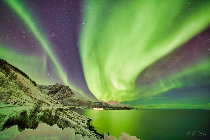 Tromso: Private Aurora Chase by Minivan - The Guide Makes the Difference, From Andis to Angel to Alex
