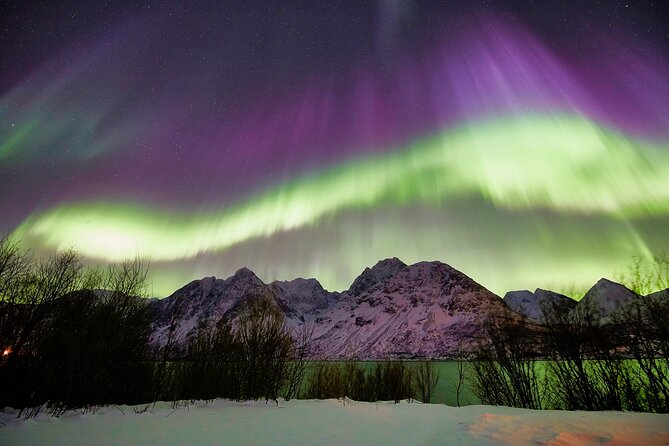Tromso: Private Aurora Chase by Minivan - Price and Value for a Group of Up to 8