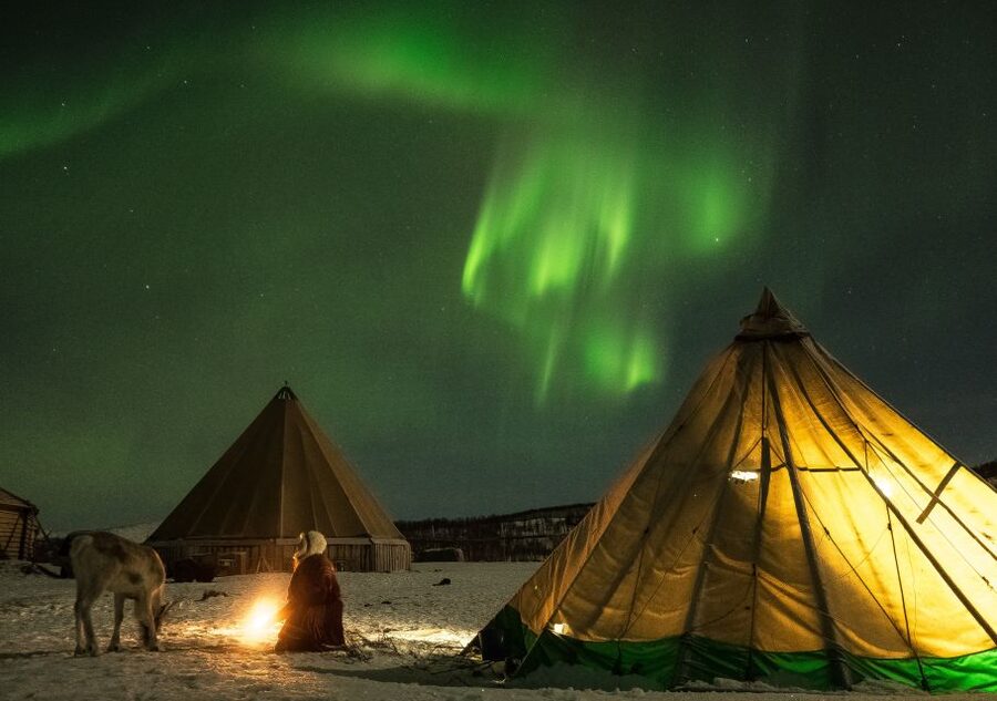 Tromsø: Reindeer Camp Dinner with Chance of Northern Lights - Feeding Reindeer After Dark: Buckets, Curiosity, and Antler Safety