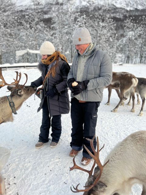 Tromsø: Reindeer Experience at a Sami Camp - Why this Lavangsdalen Sami camp feels more personal than a show