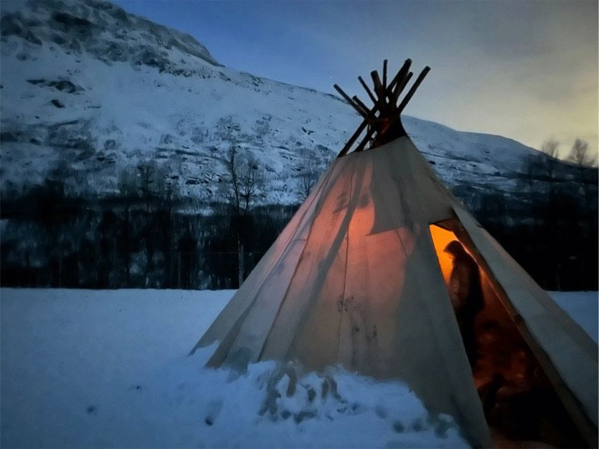 Tromsø: Reindeer Experience at a Sami Camp - Feeding reindeer in Lavangsdalen: close encounters with real rules of the moment