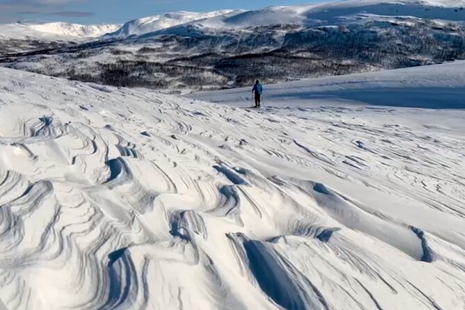 Tromso: Reindeer Feeding and Snowshoeing Tour with Lunch - Key highlights worth centering