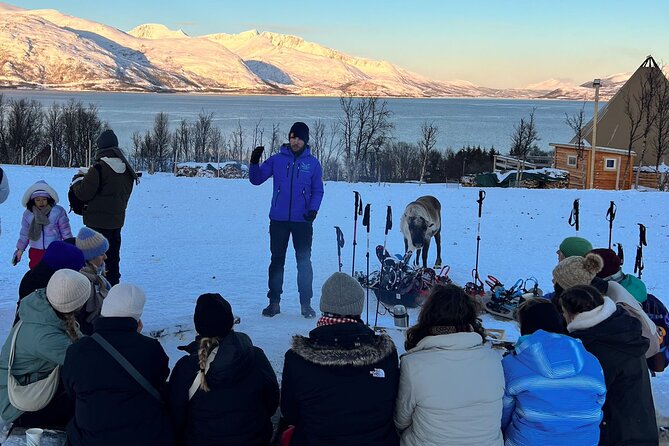Tromso: Reindeer Feeding and Snowshoeing Tour with Lunch - Why this Tromso winter combo works so well