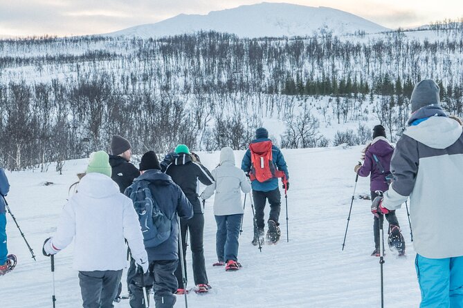 Tromso: Reindeer Feeding and Snowshoeing Tour with Lunch - The guide factor: how Rafa can shape your experience