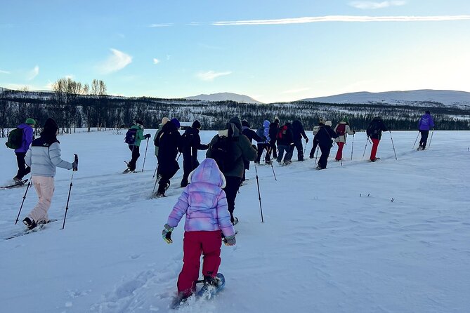 Tromso: Reindeer Feeding and Snowshoeing Tour with Lunch - The reindeer farm stop: feeding time without the rush