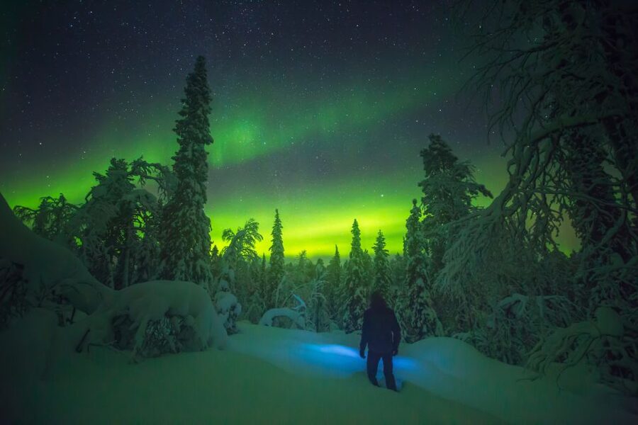 Tromsø: Reindeer Sled, Dinner, and Chance of Northern Lights - Who this fits best, and who might want to choose another night