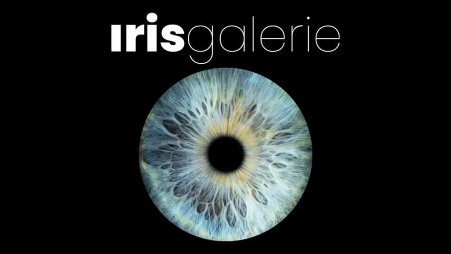 Tromsø: Reveal Your Eye Experience at the Iris Galerie - The photo rules: no flash, and bring the right kind of patience