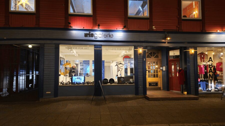 Tromsø: Reveal Your Eye Experience at the Iris Galerie - Language and group size: small, friendly, and not stressful