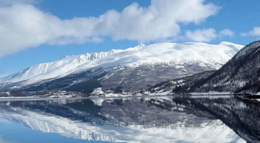 Tromsø’s Top-Rated Fjord & Fishing Cruise – All-Inclusive - Key highlights worth getting excited about