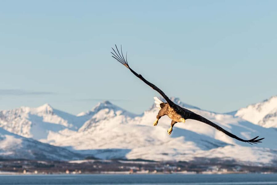 Tromsø’s Top-Rated Fjord & Fishing Cruise – All-Inclusive - Meeting, Timing, and the Clothing Choices That Make or Break Comfort