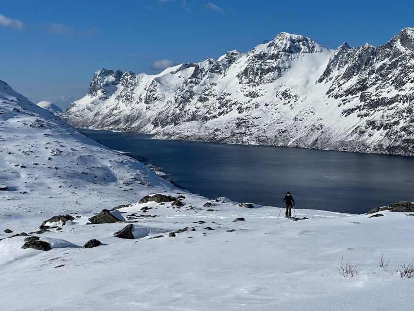 Tromso: Scenic & Eco-Friendly Snowshoeing Tour - Gear and Clothing: What to Bring for Deep Winter Comfort