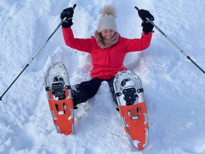 Tromso: Scenic & Eco-Friendly Snowshoeing Tour - From Tromsø City Center to Arctic Stillness in 3 Hours