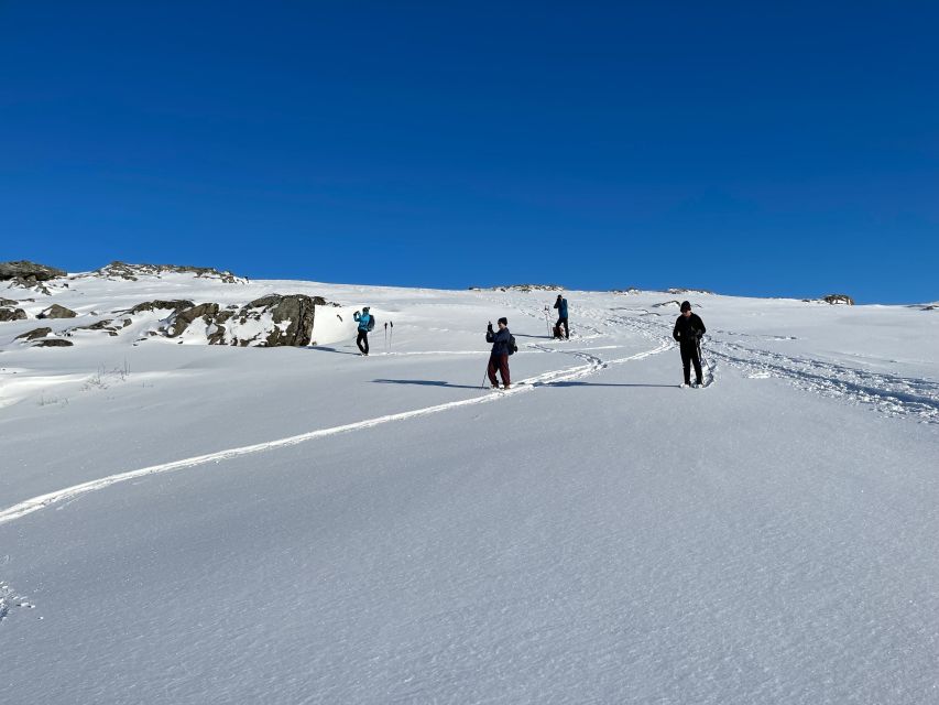 Tromso: Scenic & Eco-Friendly Snowshoeing Tour - The Slow Ascent to a Peak With Two Fjords in View