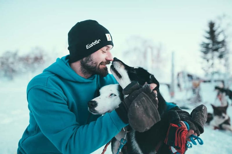Tromsø: Self-Drive Husky Dog Sledding Adventure - Scandic Ishavshotel pickup and the drive to Kvaløya