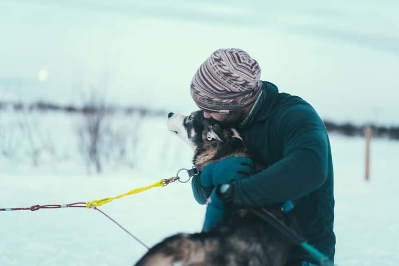 Tromsø: Self-Drive Husky Dog Sledding Adventure - What to bring (and what you do not have to stress about)