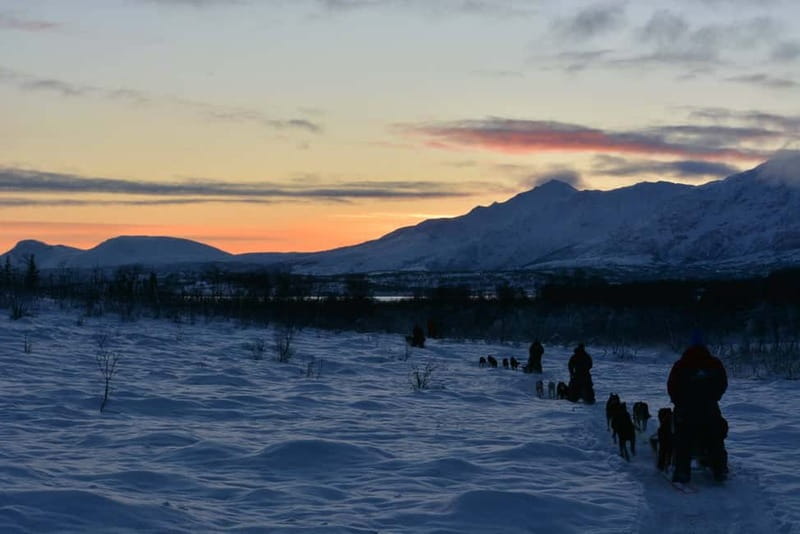 Tromsø: Self-Drive Husky Dog Sledding Adventure - Price and value in a 4-hour Tromsø half-day