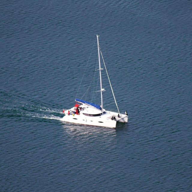 Tromso: Sightseeing Cruise by Catamaran with Snacks & Drinks - The Best Part for Your Brain: Tromsø History Told Where You Can See It