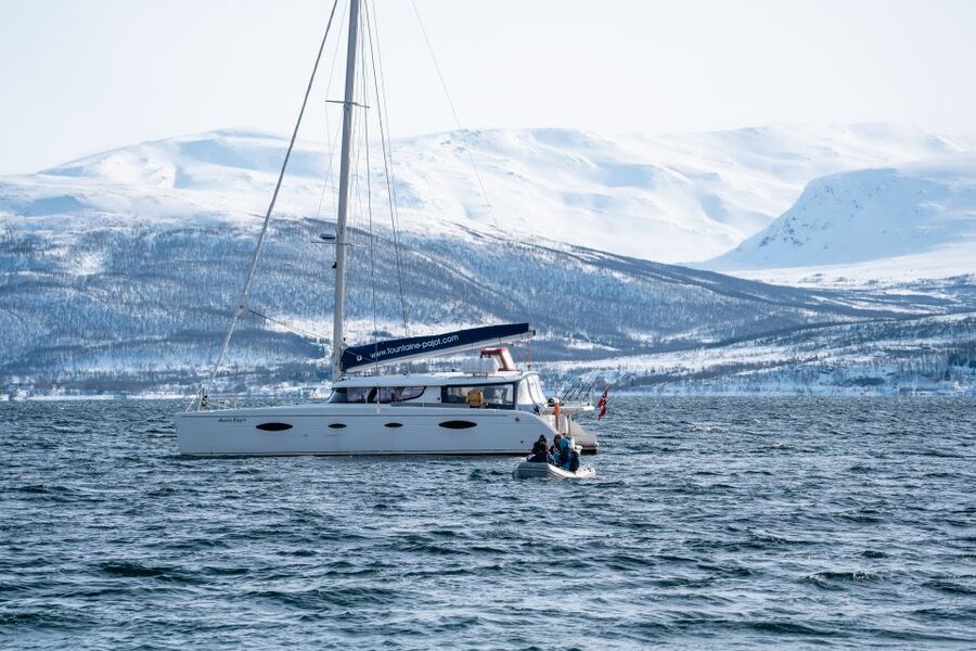 Tromso: Sightseeing Cruise by Catamaran with Snacks & Drinks - Snacks, Drinks, and Warmth: Practical Comfort That Helps You Stay Present