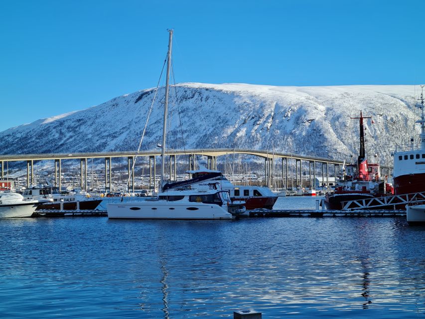 Tromso: Sightseeing Cruise by Catamaran with Snacks & Drinks - Should You Book This Tromsø Catamaran Sightseeing Cruise?
