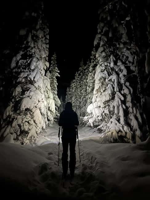 Tromsø: Ski touring (ski de randonnee) - Arctic Light Changes Everything: Polar Night With Headlamps vs Daylight Season