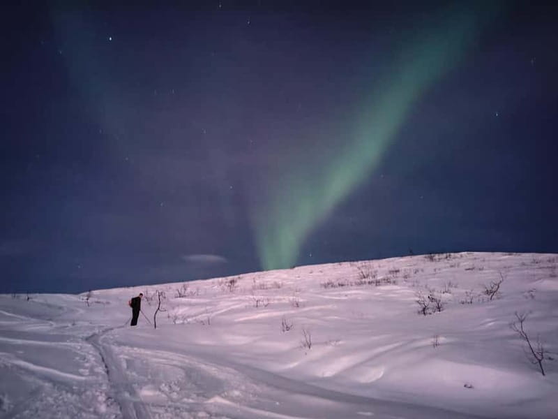 Tromsø: Ski touring (ski de randonnee) - Price and Value: Is $191 Worth It for 6 Hours?