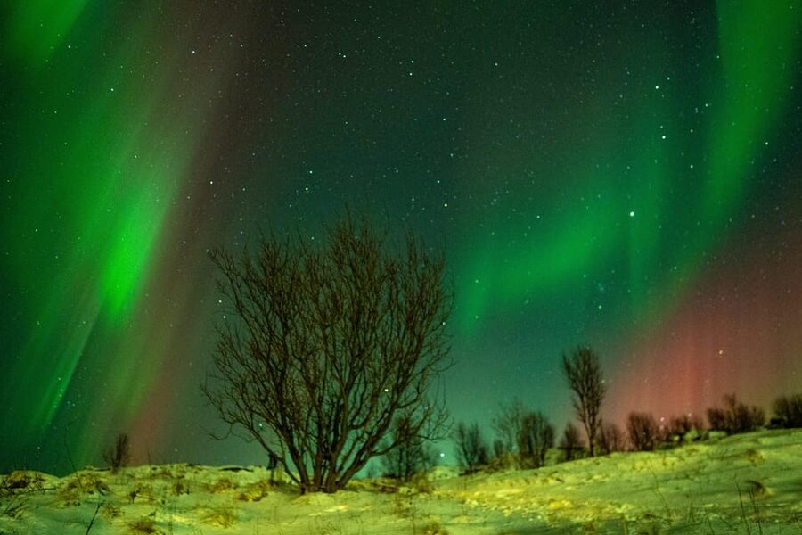 Tromsø: Small-Group Adventurous Northern Lights Hunt - The Mercedes Sprinter chase: small group, big comfort
