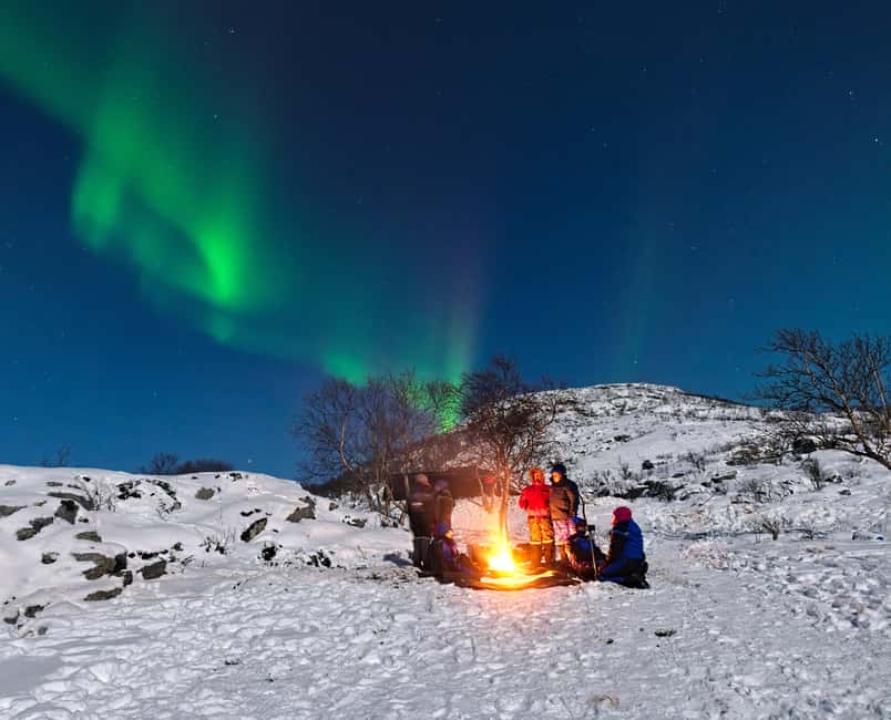 Tromsø: Small Group Northern Lights Hunt - Tromsø at night: why this kind of aurora hunt actually works