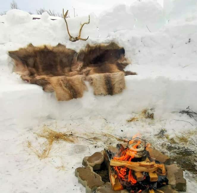 Tromsø: Snow Sledding, Mini Skiing, Lasso and Reindeer Hides - Why This Tromsø Snow Sledding Mix Feels More Norwegian Than Just A Winter Ride
