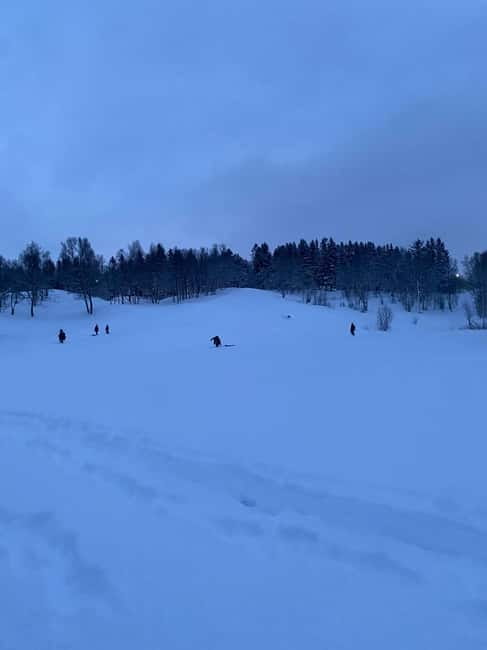 Tromsø: Snow Sledding, Mini Skiing, Lasso and Reindeer Hides - What You Pay For: $69 Per Person And The Value Question