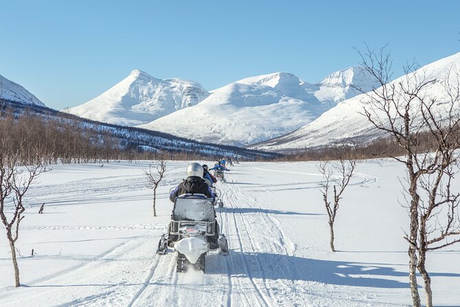 Tromsø Snowmobiling, Ice Domes Snow Park, and Reindeer Visit - Value for the Price: Does $418.74 Make Sense?