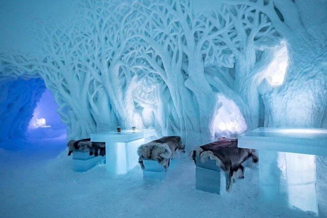 Tromsø Snowmobiling, Ice Domes Snow Park, and Reindeer Visit - Inside the 8-Hour Timeline: Bus, Training, Snowmobile Time, Ice Domes
