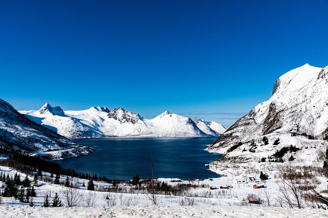 Tromso-Snowshoeing Excursion to Viewpoint - Late-Morning Pickup at Radisson Blu, Then Gear Up Close By