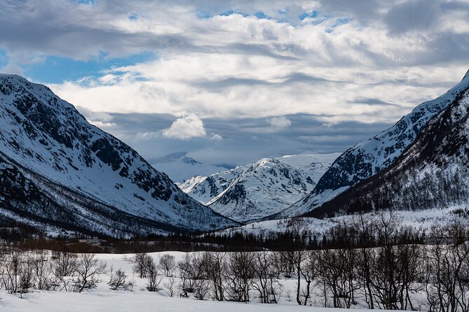 Tromso-Snowshoeing Excursion to Viewpoint - The Coffee, Tea, Muffins Pause That Makes the Hike Feel Like a Treat