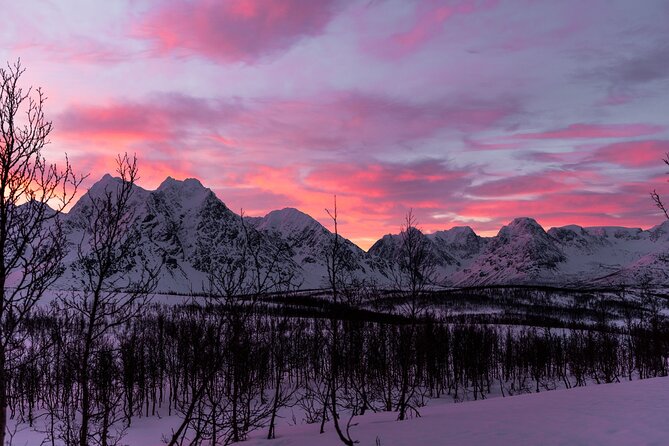 Tromso-Snowshoeing Excursion to Viewpoint - The 30-Minute Ride in an Air-Conditioned Vehicle (Yes, AC)