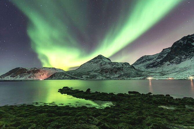 Tromso Snowshoeing - Valley, Fjord Views, Wildlife, Meal & Pickup - Key takeaways before you lace up