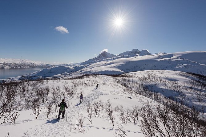 Tromso Snowshoeing - Valley, Fjord Views, Wildlife, Meal & Pickup - The Hike Itself: Valley Views, a Summit Climb, and Wildlife Chances