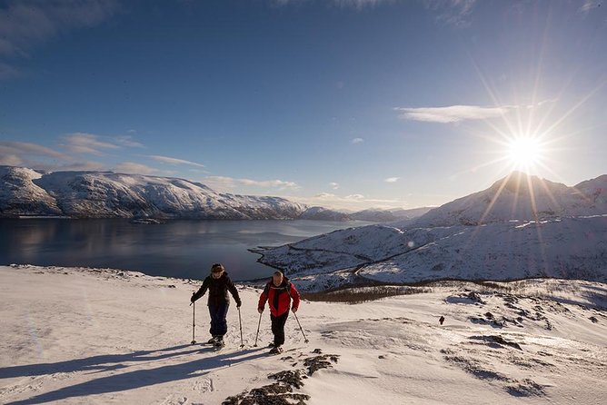 Tromso Snowshoeing - Valley, Fjord Views, Wildlife, Meal & Pickup - How the Season Changes the Views (and Your Outfit)
