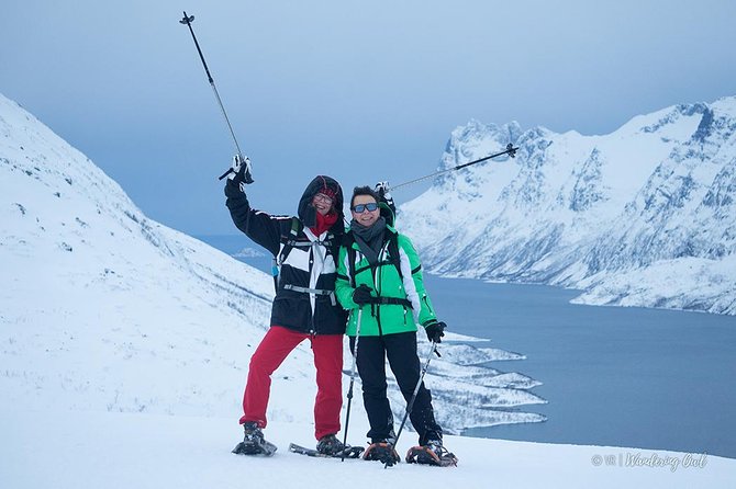 Tromso Snowshoeing - Valley, Fjord Views, Wildlife, Meal & Pickup - Lunch at the Summit, Plus Coffee and Chai-Style Comfort