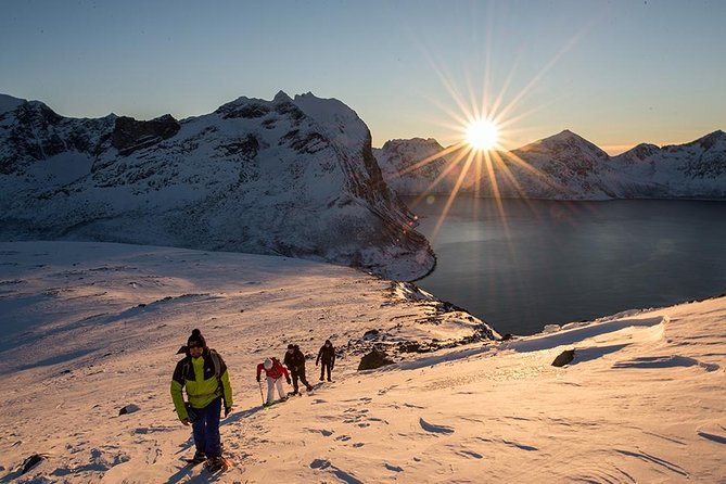 Tromso Snowshoeing - Valley, Fjord Views, Wildlife, Meal & Pickup - Snowshoes, Poles, and the No-Snow Plan