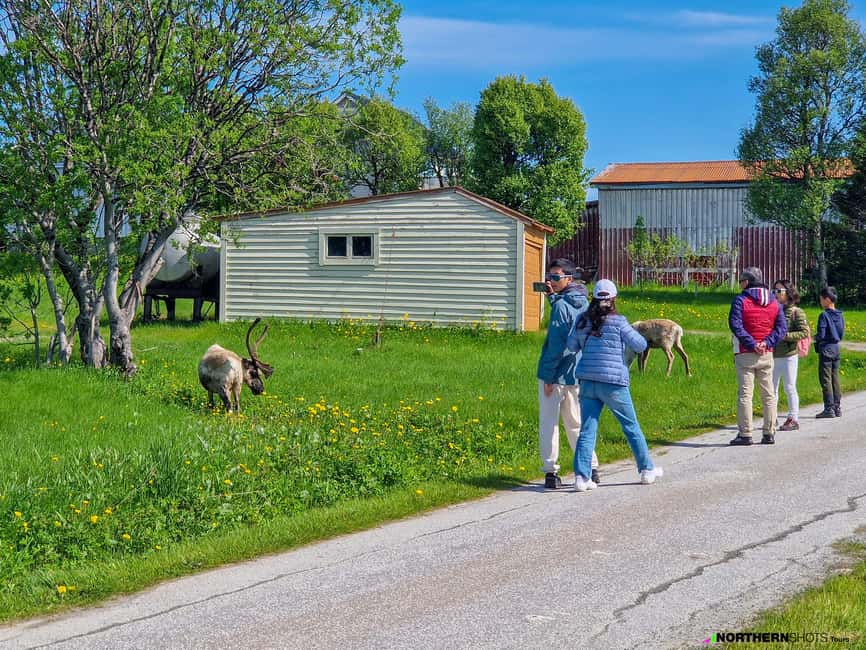 Tromsø: Sommaroy Fjord Tour with Lunch Option & Midnight Sun - Guides make it worth your money: the humor, the facts, and the photos