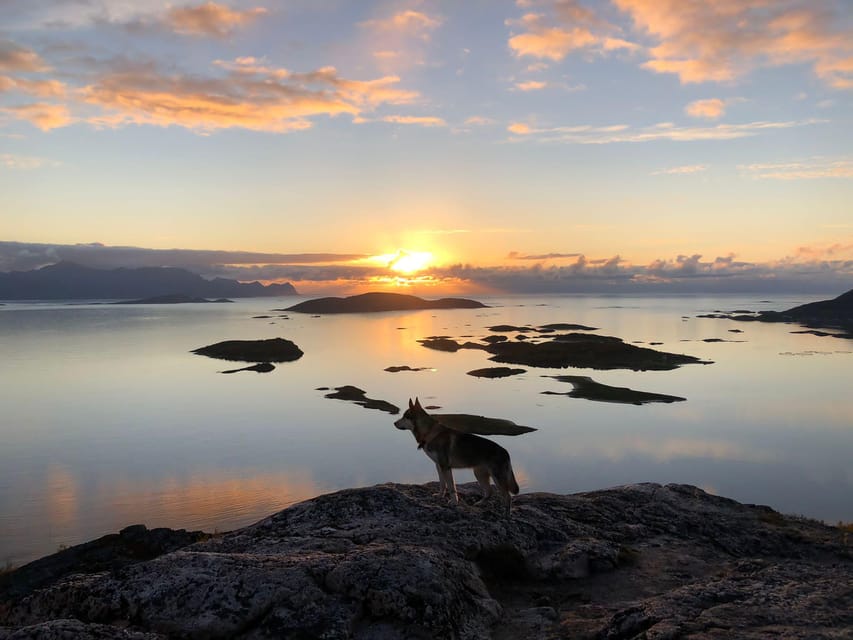 Tromsø: Sommarøy Islands Midnight Sun Tour - Price and value in Norway: is it worth it for 4 hours?