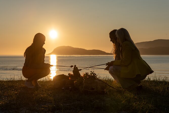 Tromsø & Sommarøy - Private coastal tour with a local - Stop 2 at Hellastraumen: ancient rock carvings by the road