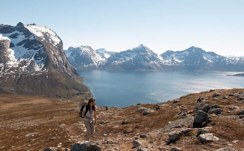 Tromsø: Summer Day Hike in the wilderness - Key Things You’ll Notice on This Tromsø Wilderness Hike