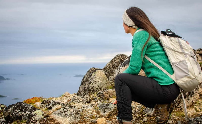 Tromsø: Summer Day Hike in the wilderness - Wildlife Watching That Feels Real, Not Performative