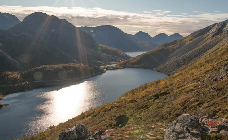 Tromsø: Summer Day Hike in the wilderness - Price and Value: Is $142 Worth It From Tromsø?