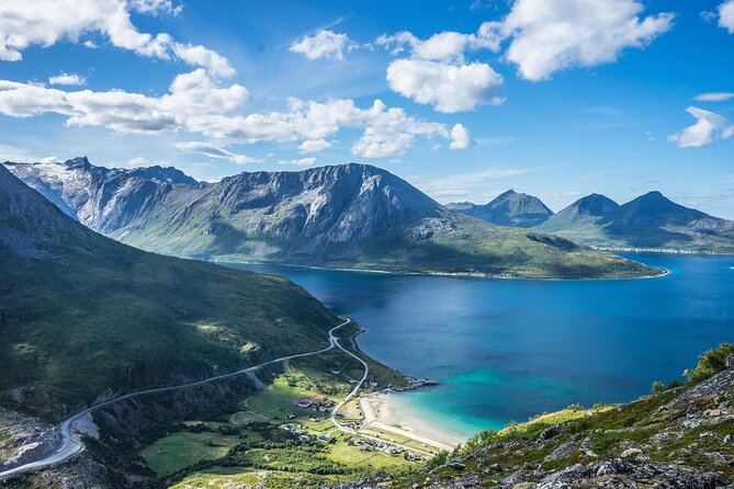 Tromsø: Summer Day Hike with Wandering Owl - Lunch included, plus the vegan meals rule that keeps things safe