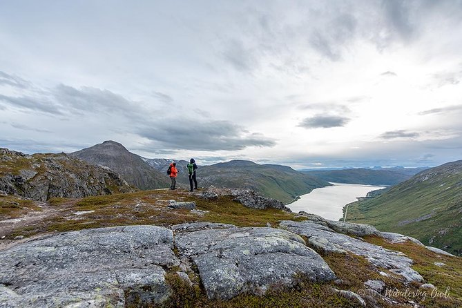 Tromsø: Summer Day Hike with Wandering Owl - Photos by email after the tour, and why that’s useful